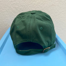Party Dino Embroidered Hat