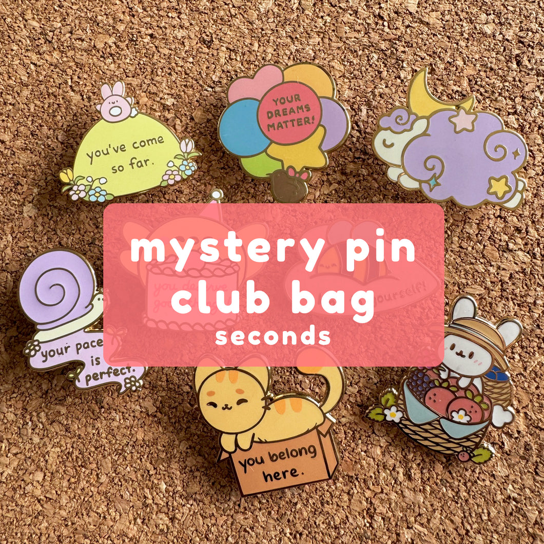 Mystery Pin Club Bag (Seconds)