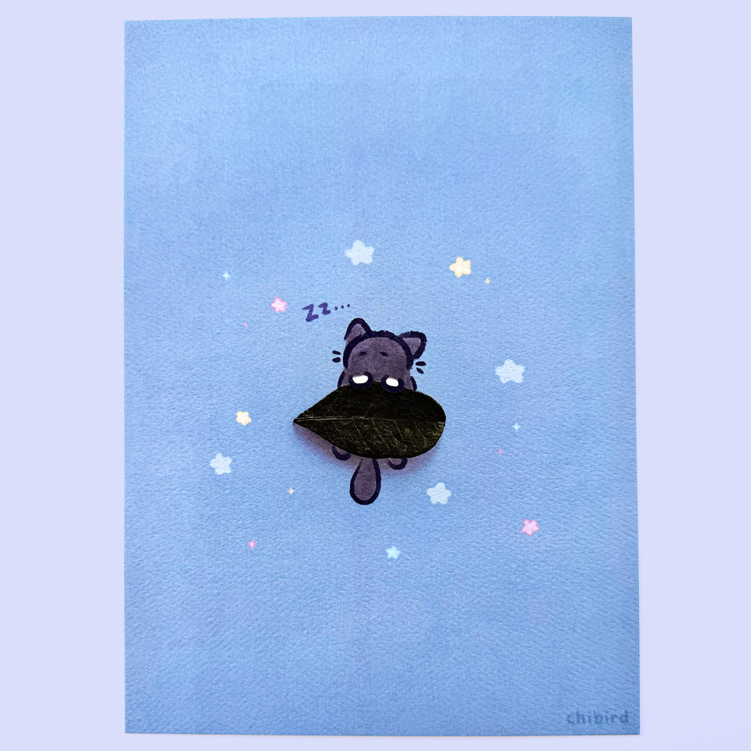 Foraging Friends - Sleepy Cat