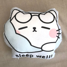 Work Hard, Sleep Well Plush Pillow
